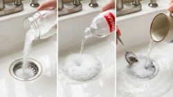 The Best Natural Method to Unclog a Kitchen Sink Drain Without Harsh Chemicals