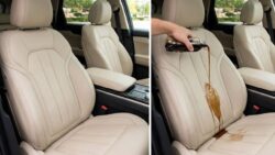 This Car Seat Cleaning Hack Beats Vinegar and Baking Soda on Deep Stains